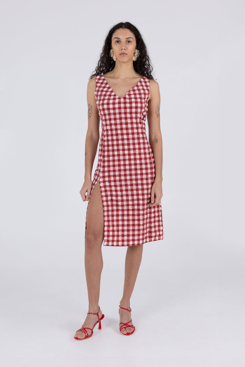 Camilla Dress - Lipstick Check