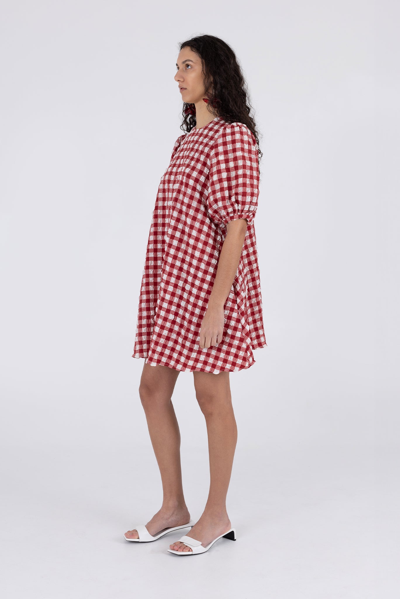 Orion Dress - Lipstick Check